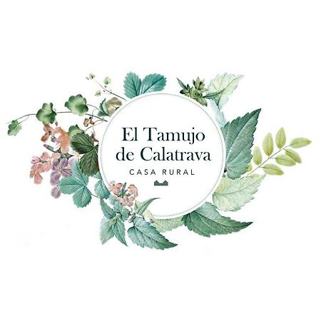 מלון Belvis El Tamujo De Calatrava מראה חיצוני תמונה